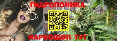 спайс Малгобек
