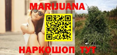 прущие грибы Мариинск