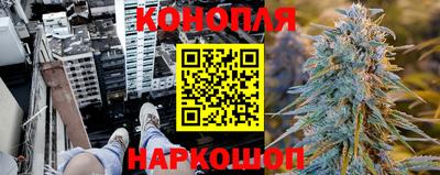 спайс Малгобек