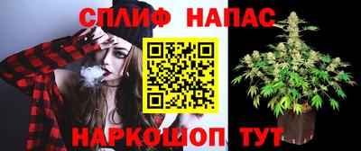 спайс Малгобек