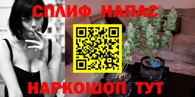 прущие грибы Мариинск